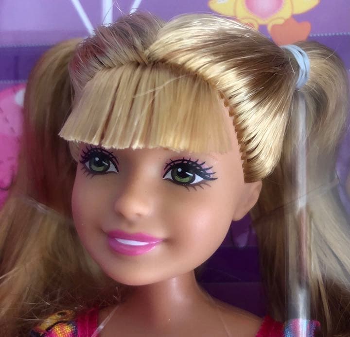 新品。アメリカで購入、バービー人形。姉妹で遊園地2012年。かわいい