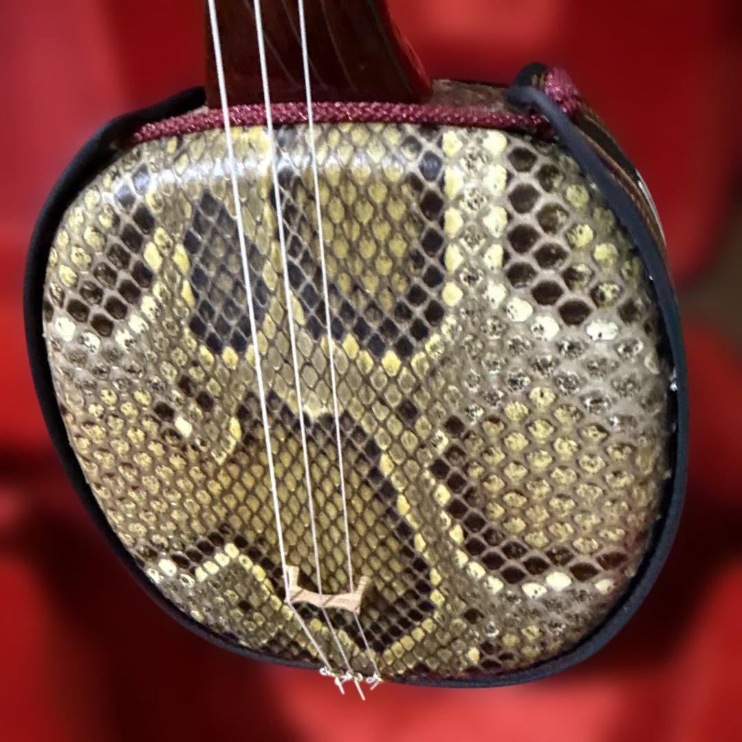 沖縄 三線 弦楽器 ソフトケース付き リュックタイプ