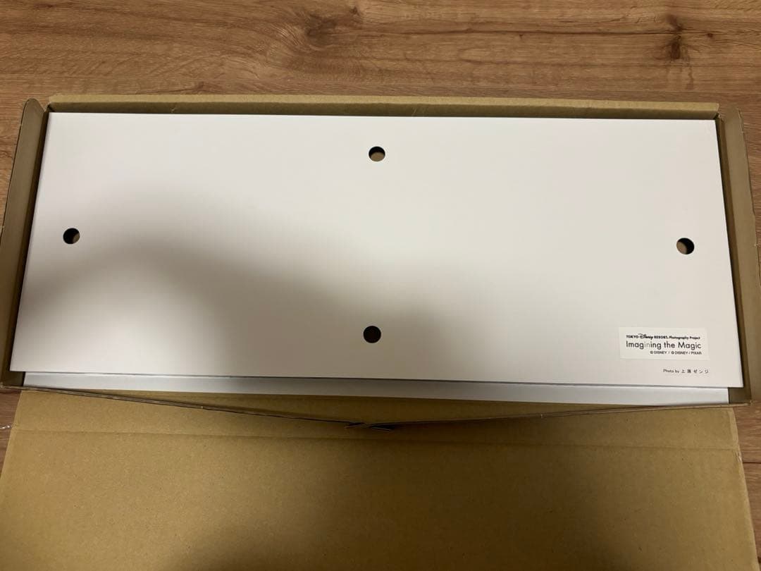 レア　ディズニー　イマジニングザマジック　アート　パネル　魚眼レンズ