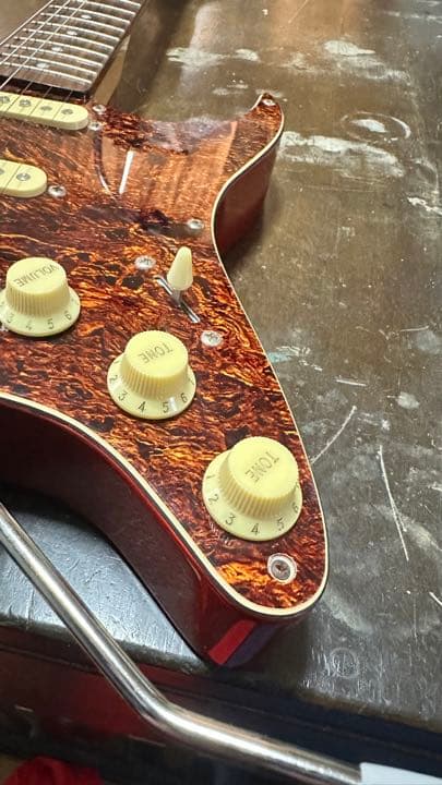 ESP GrassRoots GR-PGG ピックガードギター