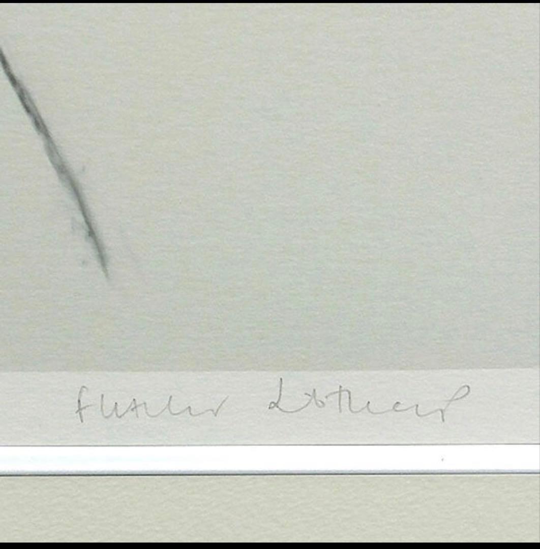 【フレッチャーシブソープ】ジクレー 1点物 鑑定書付き