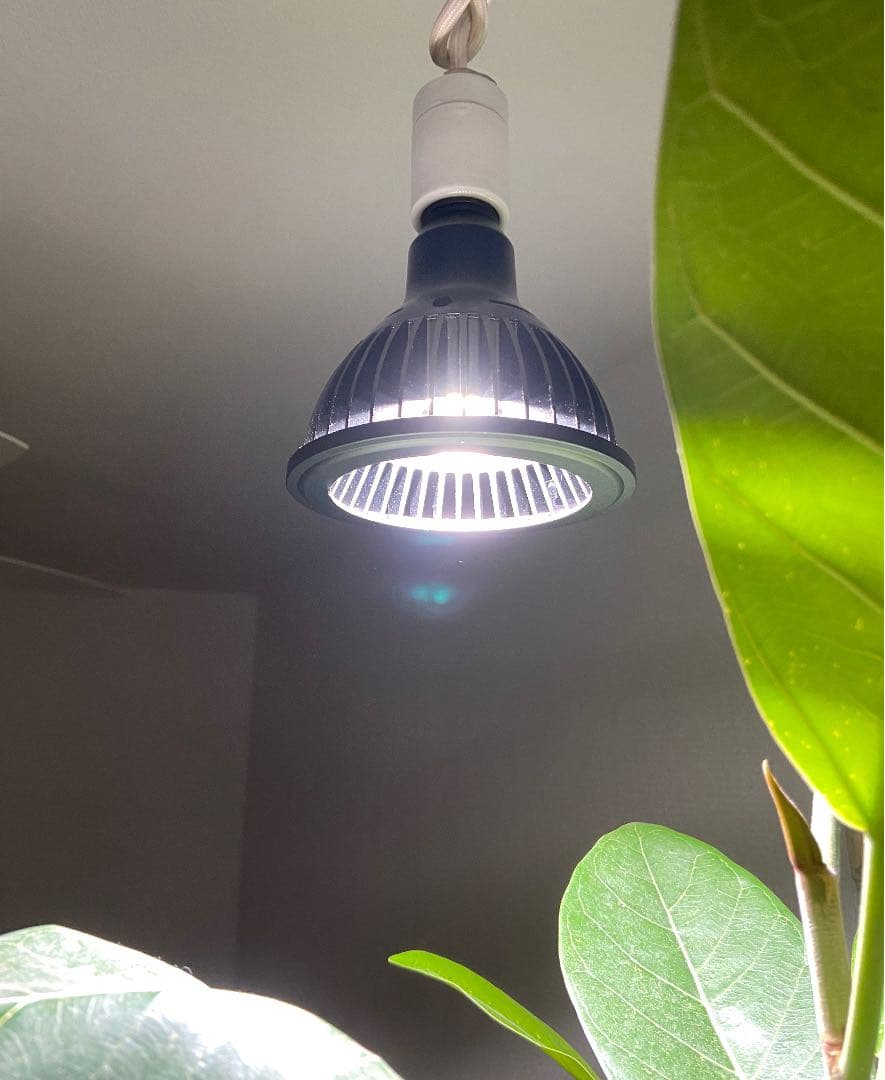 販売 植物育成ライト アマテラス led 2個 AMATERAS LED 20W