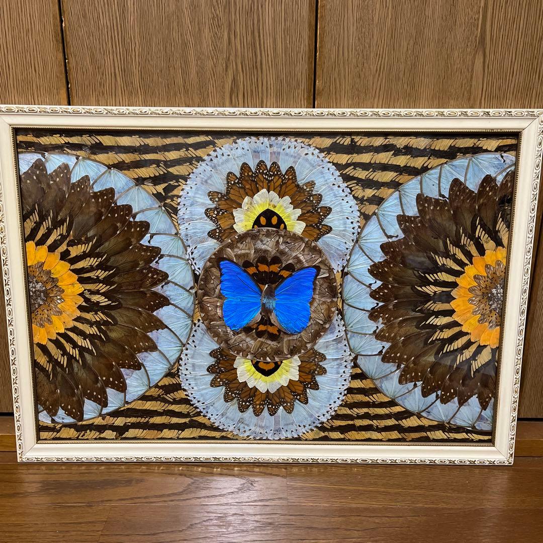 蝶額装 蝶画 羽細工 羽絵 蝶羽アート