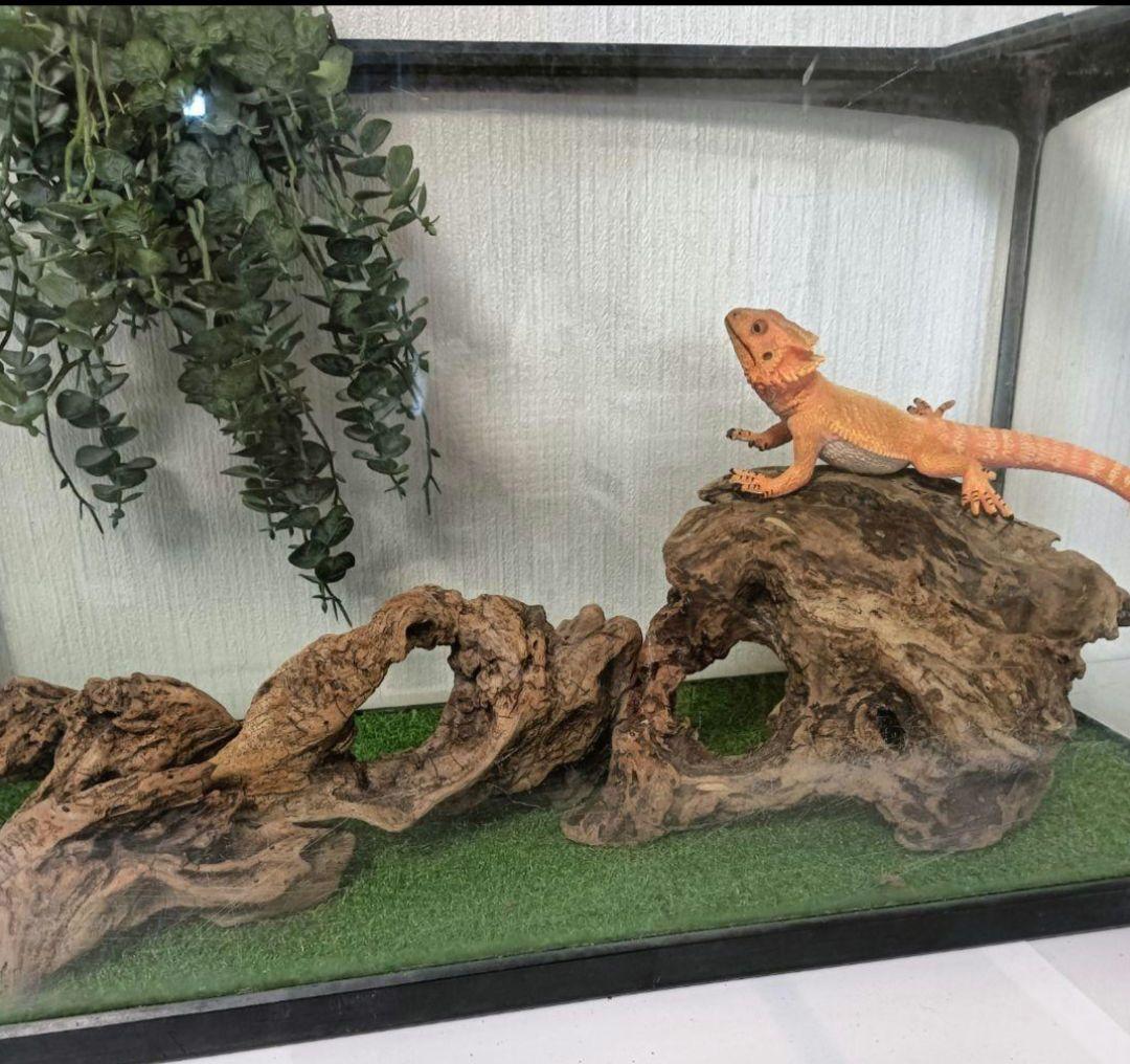 シグノ様 流木465 468 469 リクエスト 3点 おまとめ商品の通販はau PAY