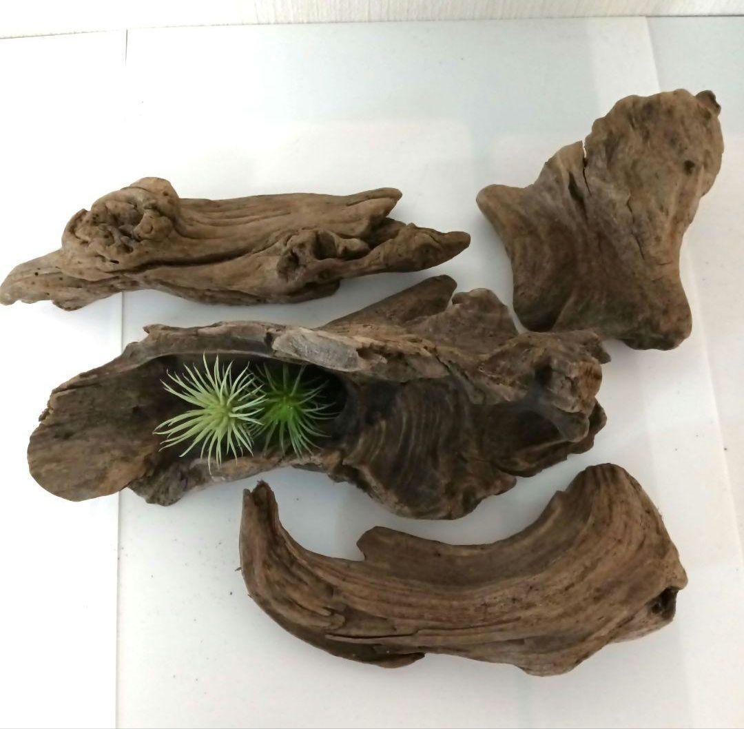 シグノ様 流木465 468 469 リクエスト 3点 おまとめ商品の通販はau PAY