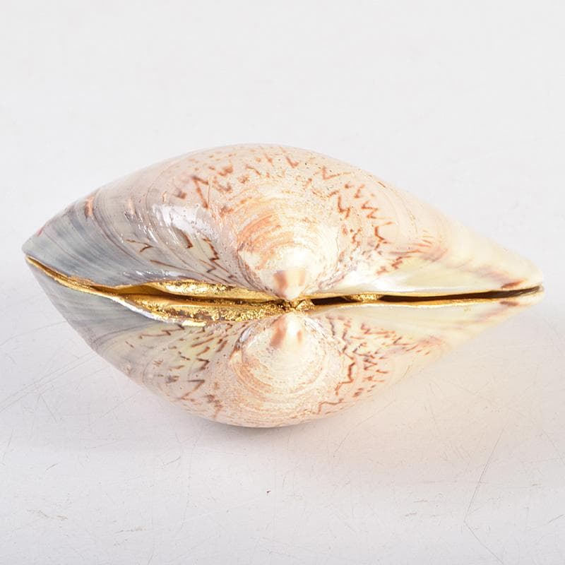 茶道具　宗廣工房　道場宗廣作　蛤香合　堀内宗完(兼中斎)極め箱　M　R9307