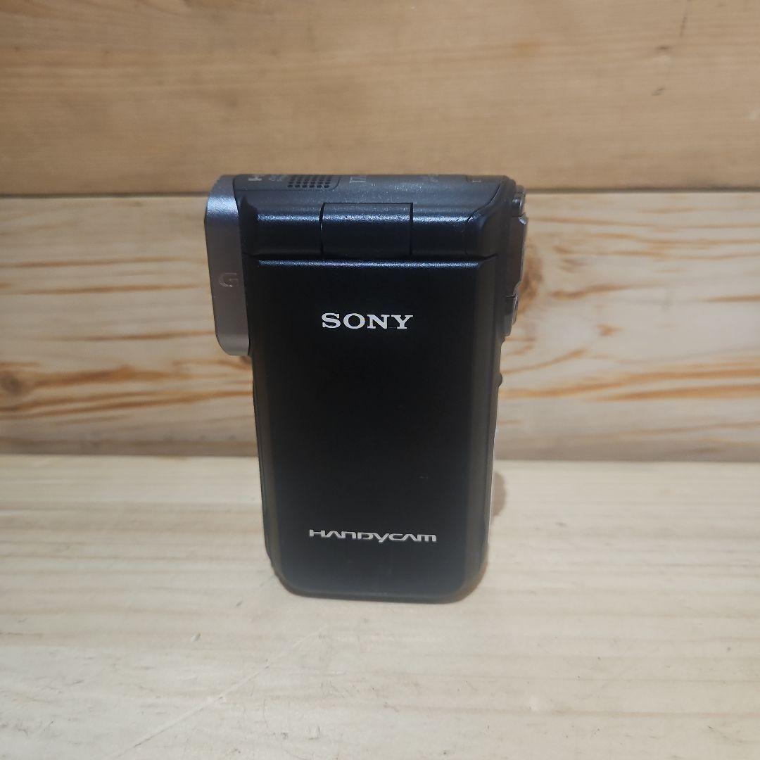 SONY ビデオカメラ Handycam GW77V