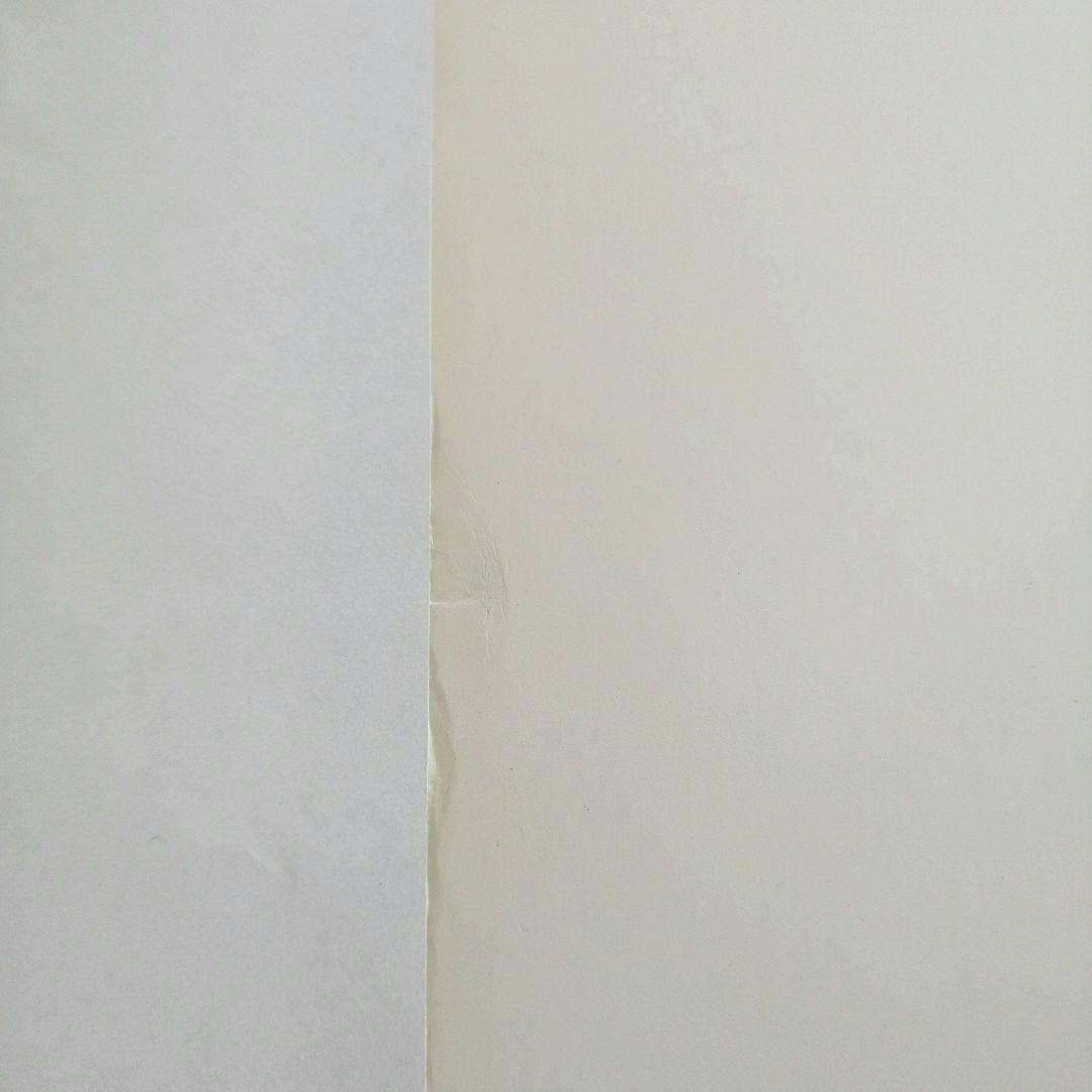 激レア】ローリング・ストーンズ 初来日記念 ポカリスエットB2