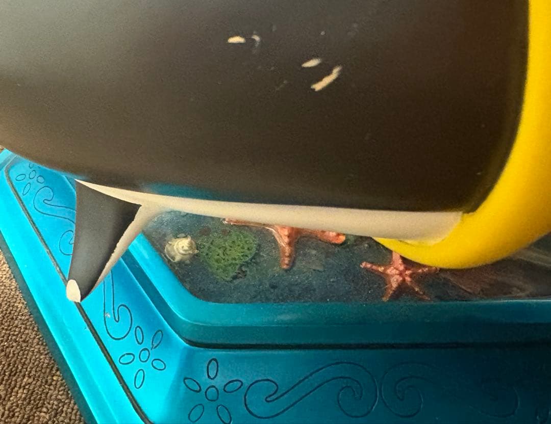 しらほし スタチュー ガレージキッド フィギュア 350体限定 特大