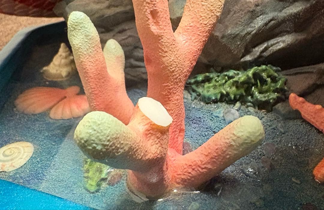 しらほし スタチュー ガレージキッド フィギュア 350体限定 特大