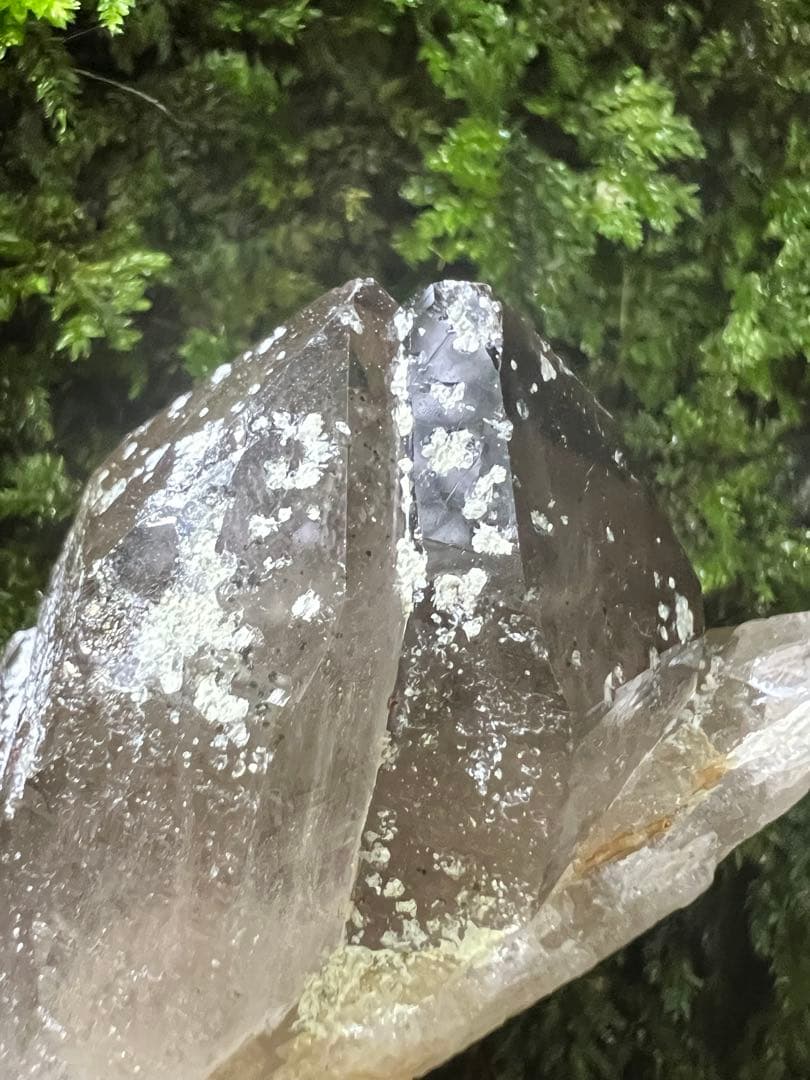 龍脈の精髄 ⭐︎九州産煙水晶ツイン 「大地と縁を結ぶ祓いの