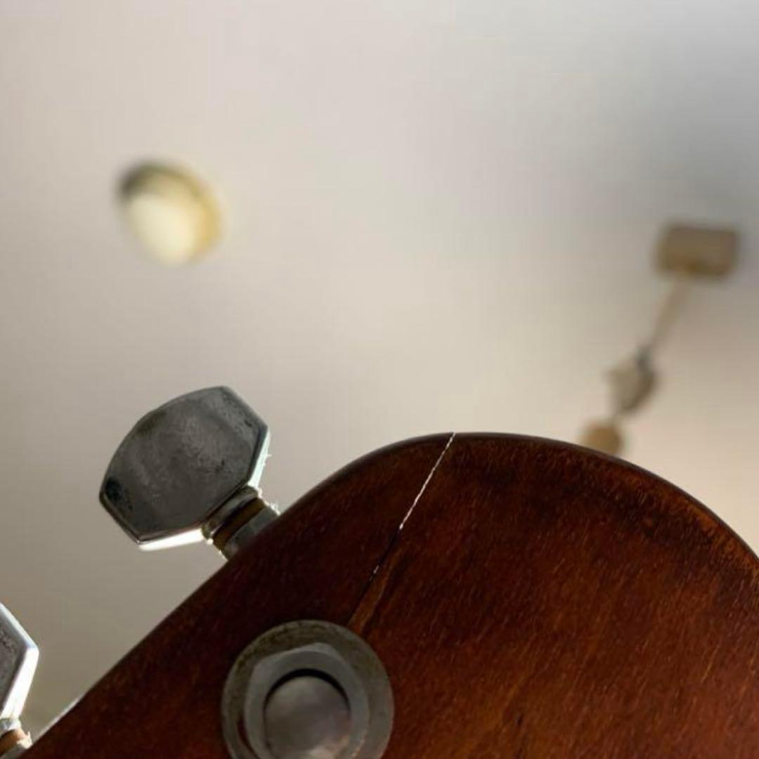 Guyatone LG-55W 改造多数 グヤトーン ビザールギター