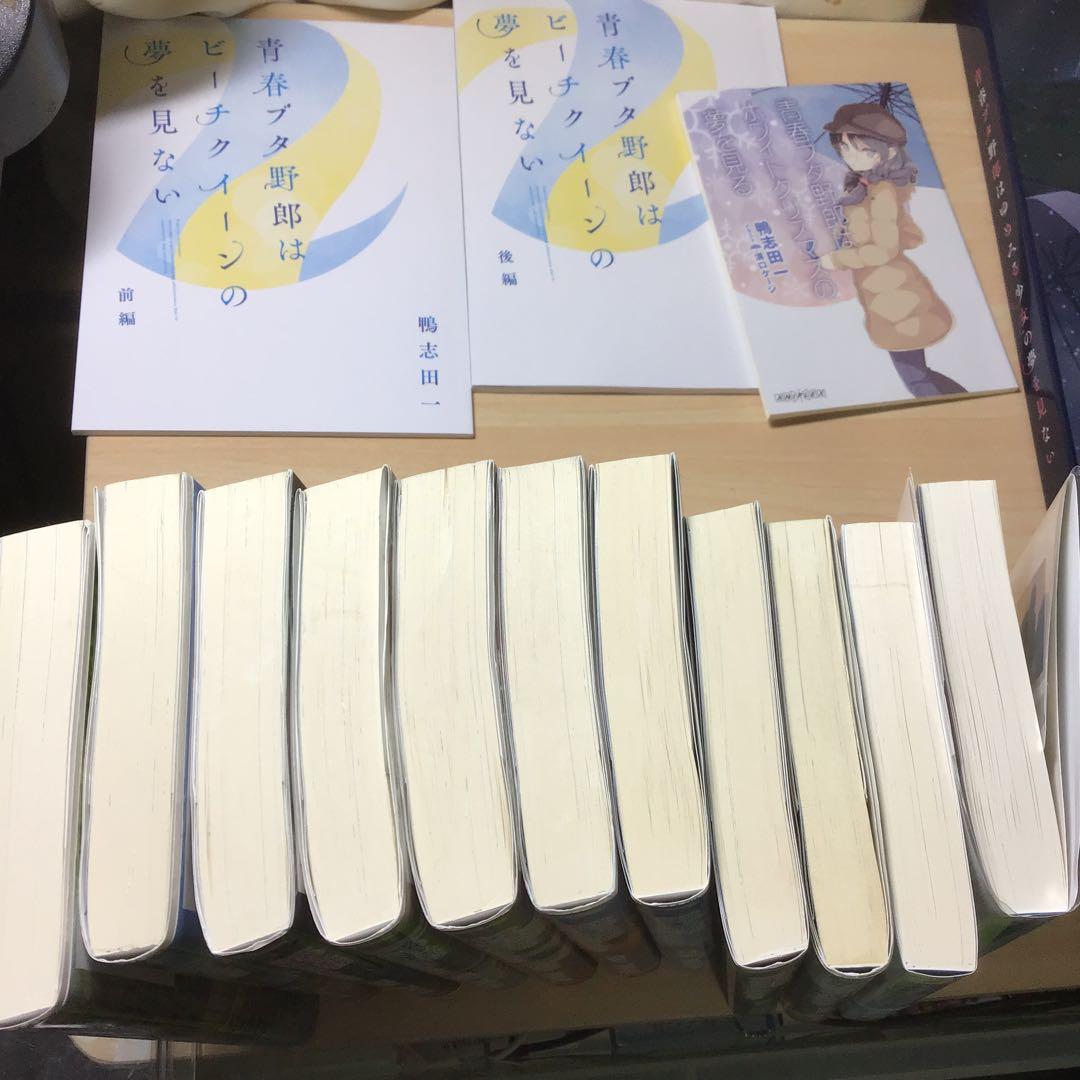 青春ブタ野郎はバニーガール先輩の夢を見ない