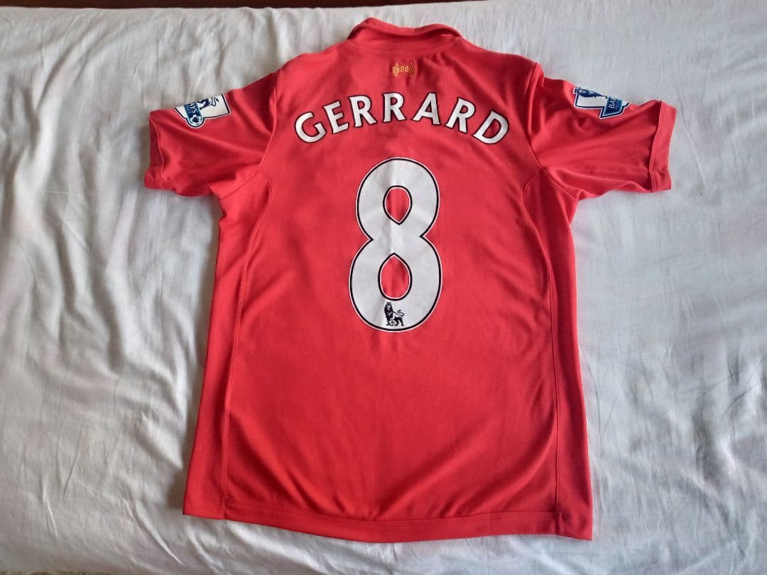 1点物】極美品☆極希少 透明骨格標本 ハコネサンショウウオ 幼体 約50mm