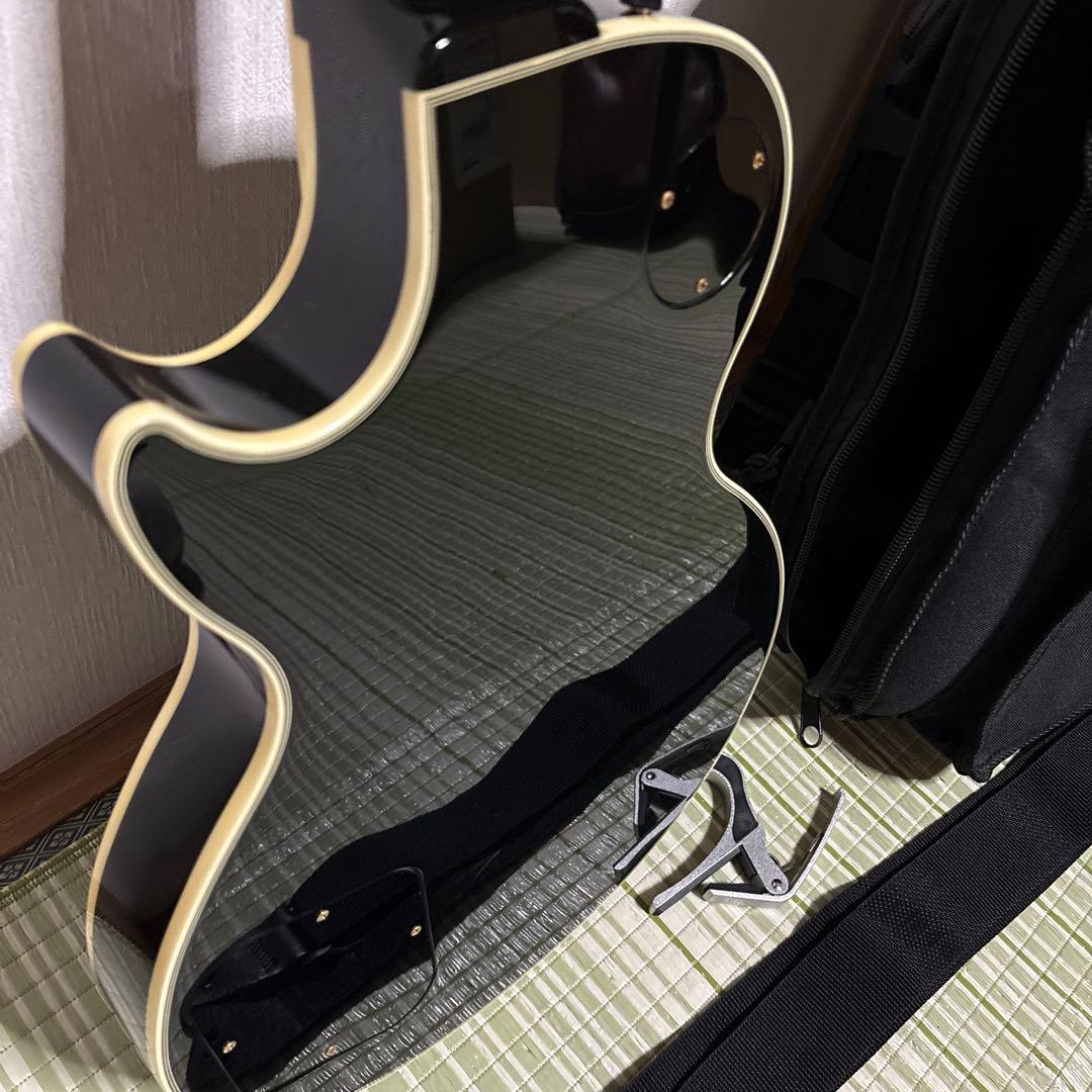 History レスポールタイプ エレキギター　ヒストリー　弦楽器　ソフトケース