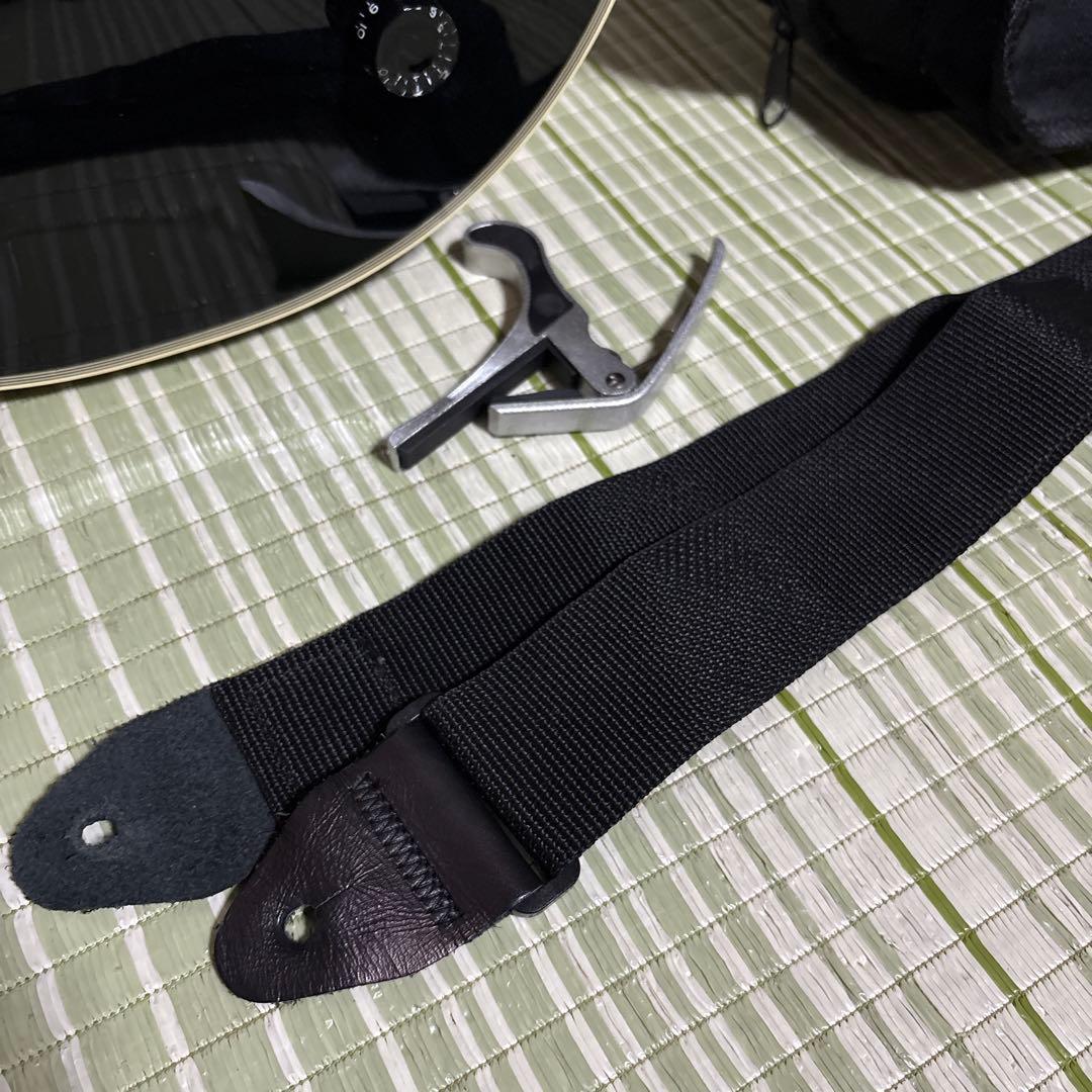 History レスポールタイプ エレキギター　ヒストリー　弦楽器　ソフトケース