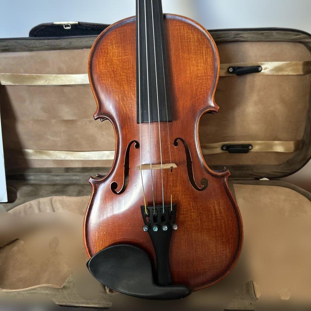 Gliga GAMA super バイオリン 1/2