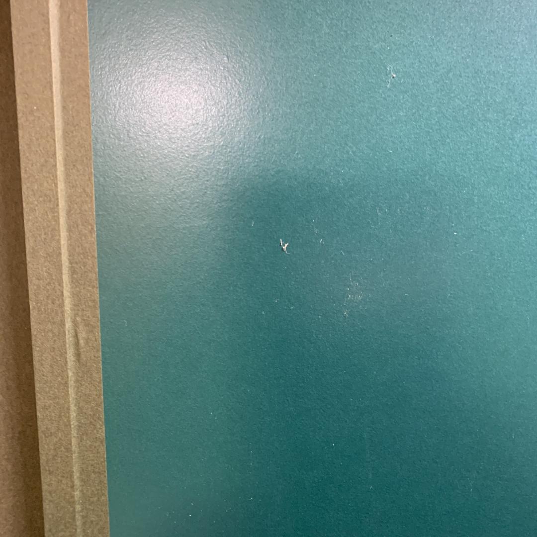 ルノワール 若い娘の肖像 油絵直筆仕上げ　ゴールド額縁 複製画