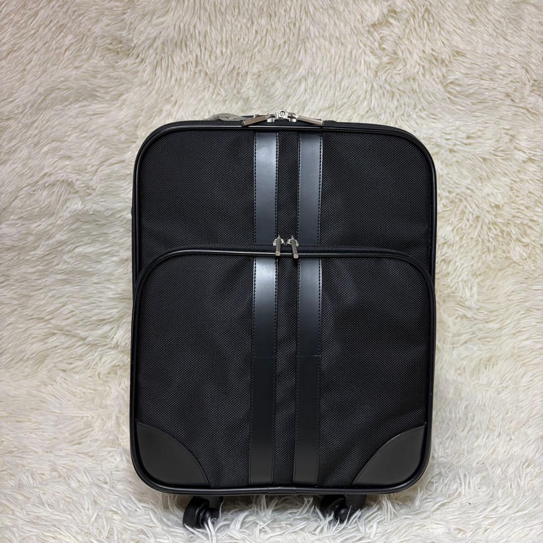 ✨極美品 SWANY スワニー 4輪 スーツケース キャリーケース 機内