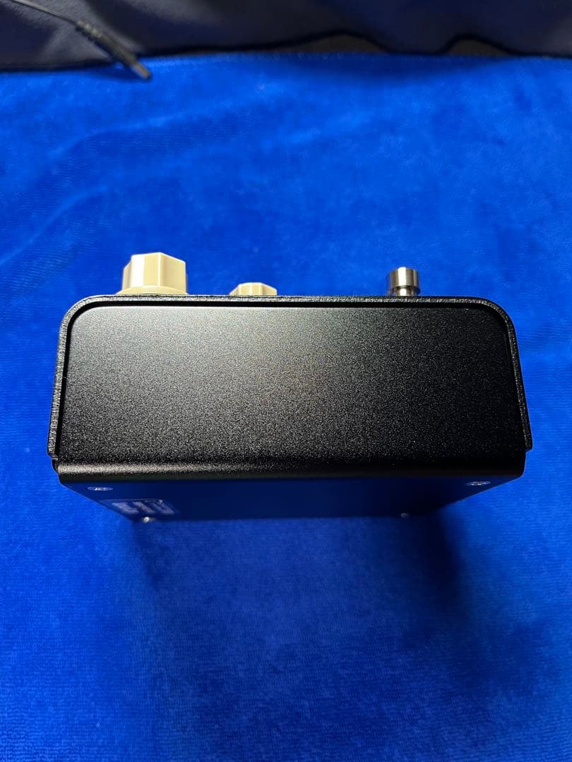 れる  Strymon FLINT V2