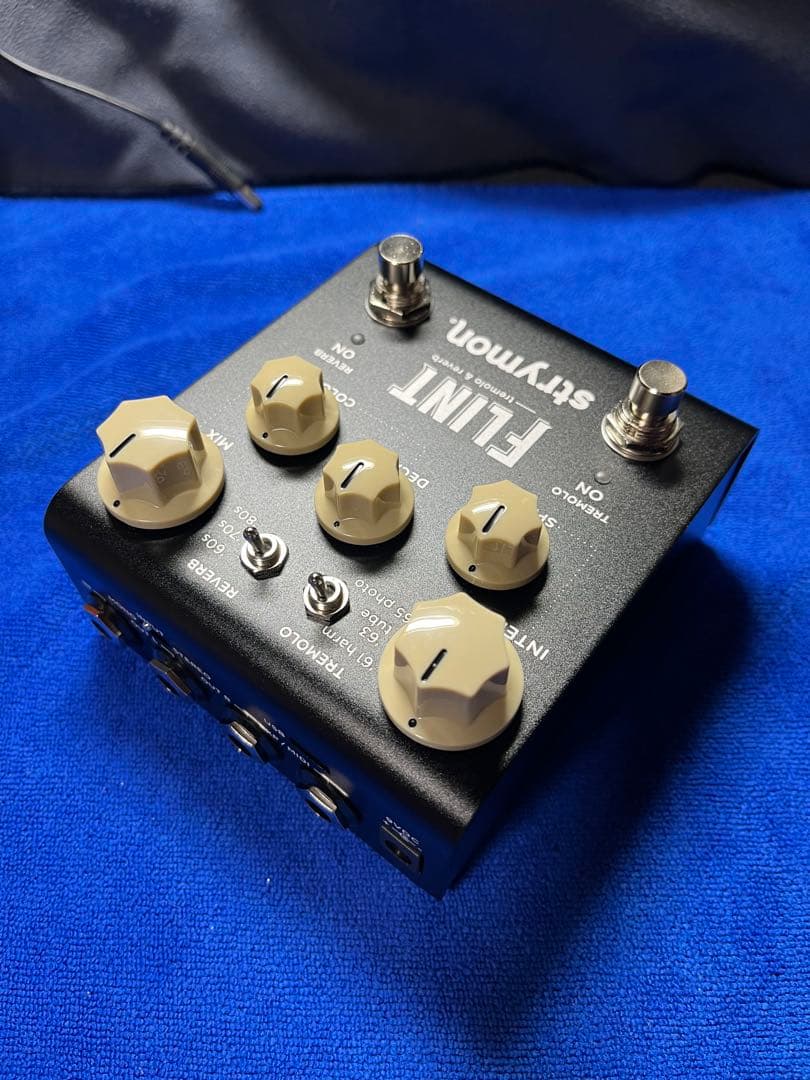 れる  Strymon FLINT V2