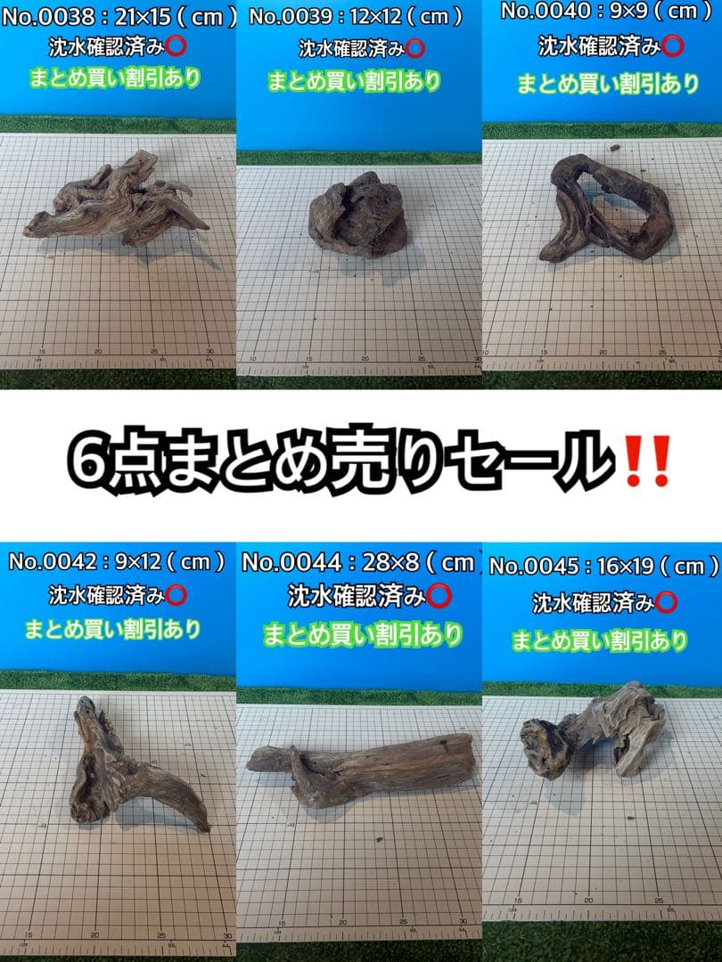 煮沸 沈水確認済み】6点まとめ売り 天然流木 アクアリウム 爬虫類用