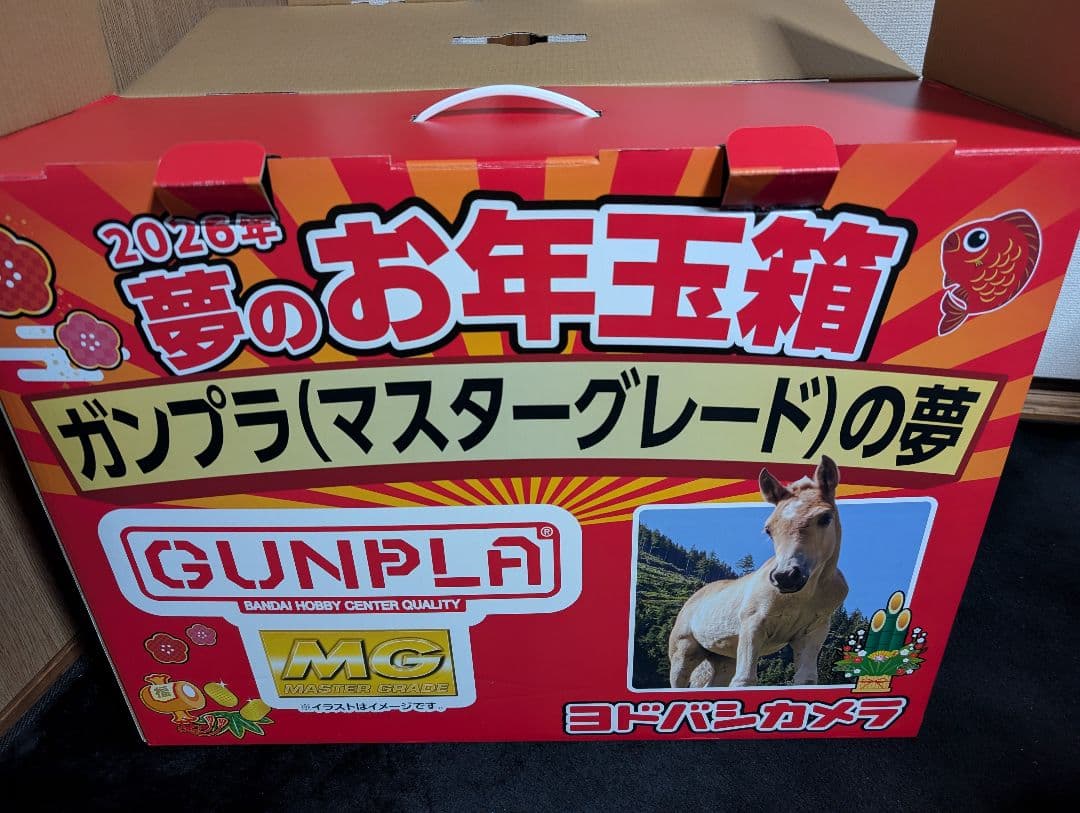 ヨドバシカメラ 福袋 ガンプラ マスターグレード MG 夢のお年玉袋
