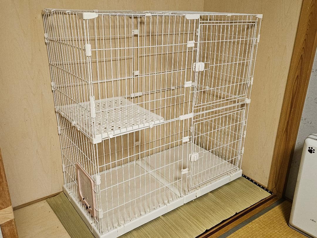 さくら様 ちゃおスープ5種類 合計85個