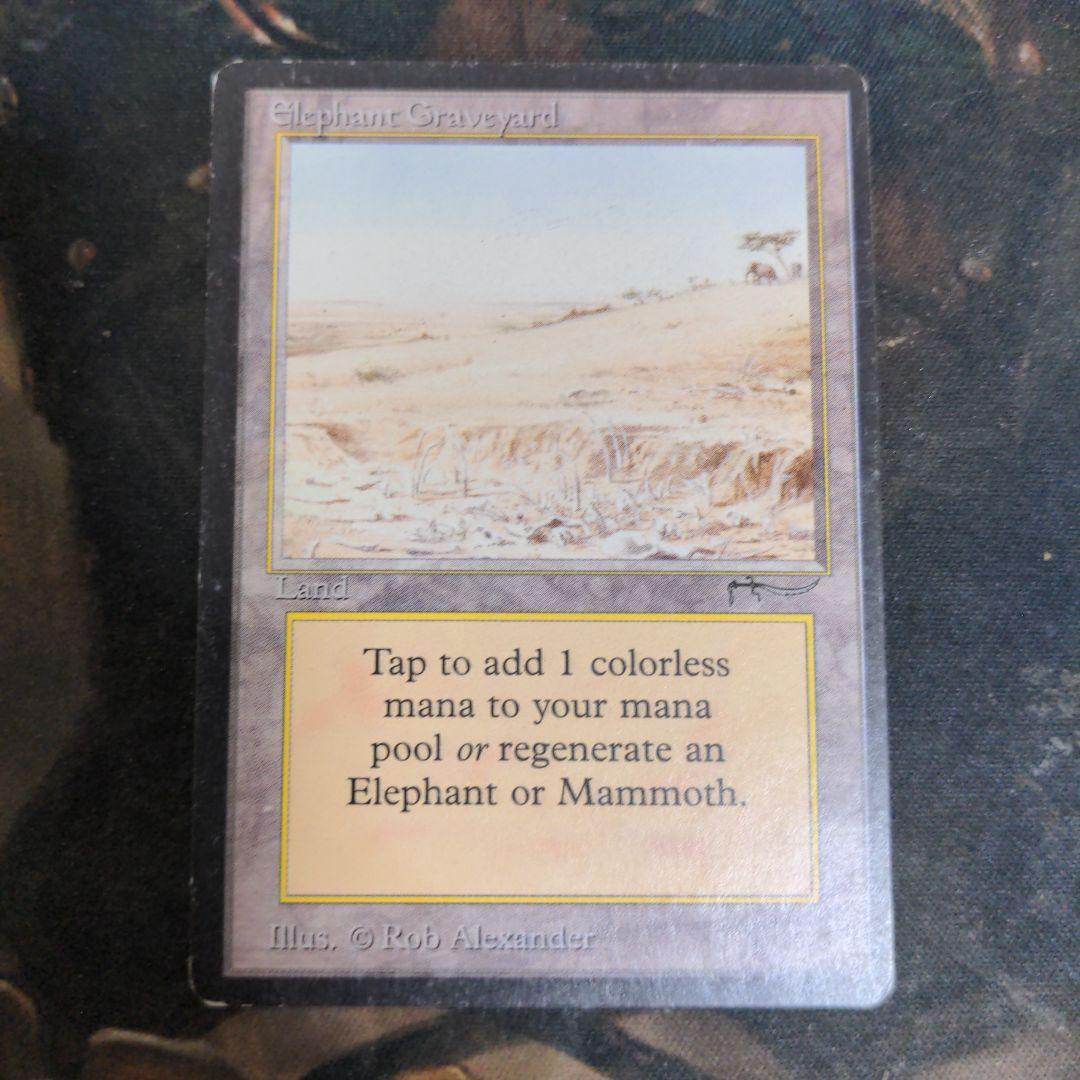 Elephant Graveyard　アラビアンナイト Elephant Graveyard アラビアンナイト Elephant Graveyard アラビアン