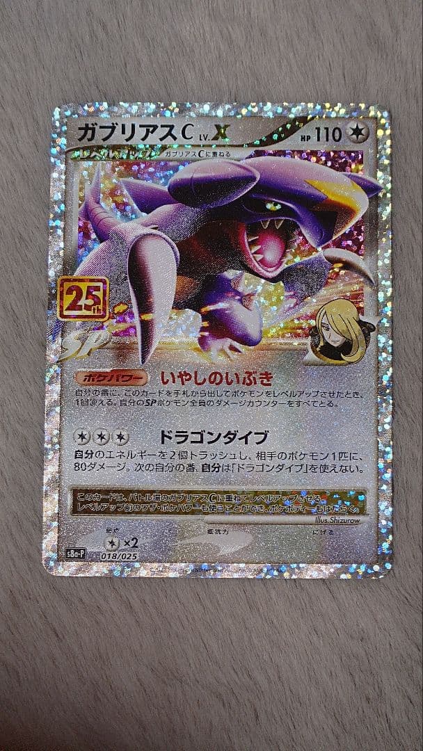 ぬ*ま様 リザードン ガブリアス　25周年