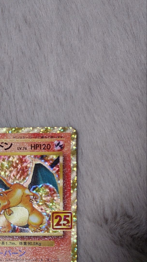 ぬ*ま様 リザードン ガブリアス　25周年