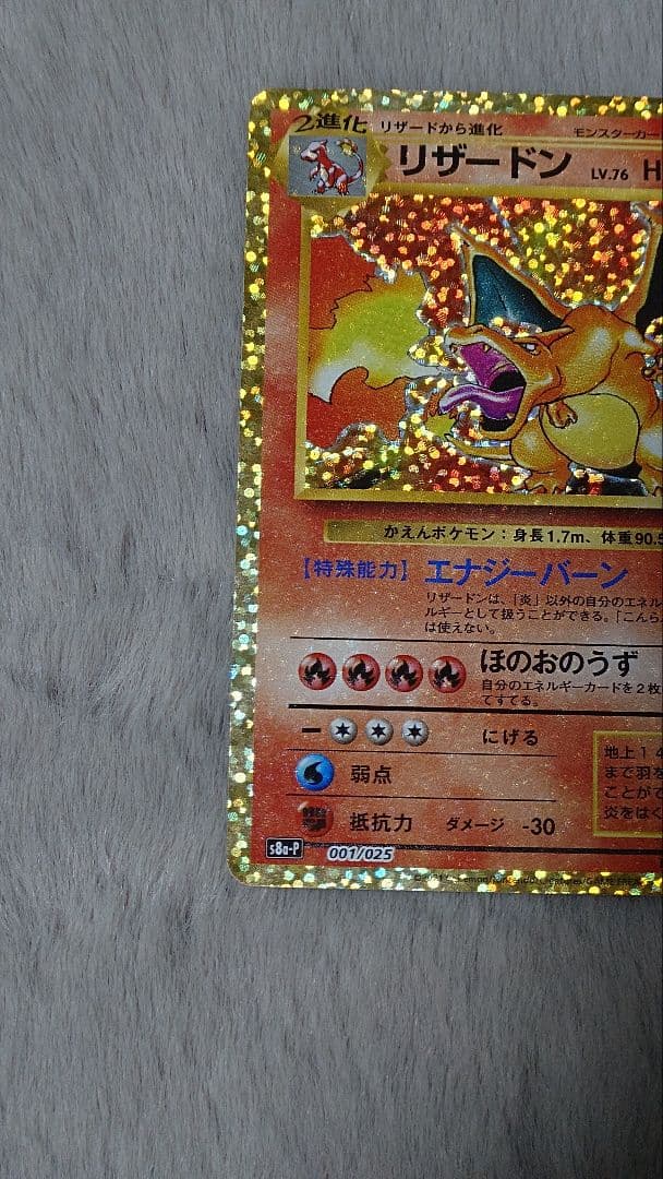 ぬ*ま様 リザードン ガブリアス　25周年