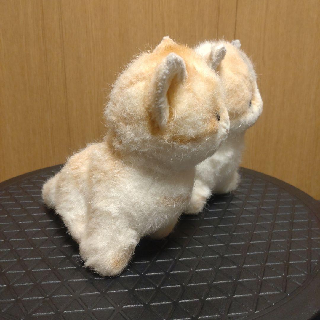 ライブリーラブリー　ねこ