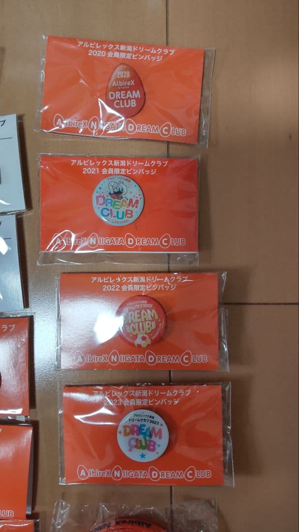 アルビレックス新潟後援会ピンバッジ&靴紐セット