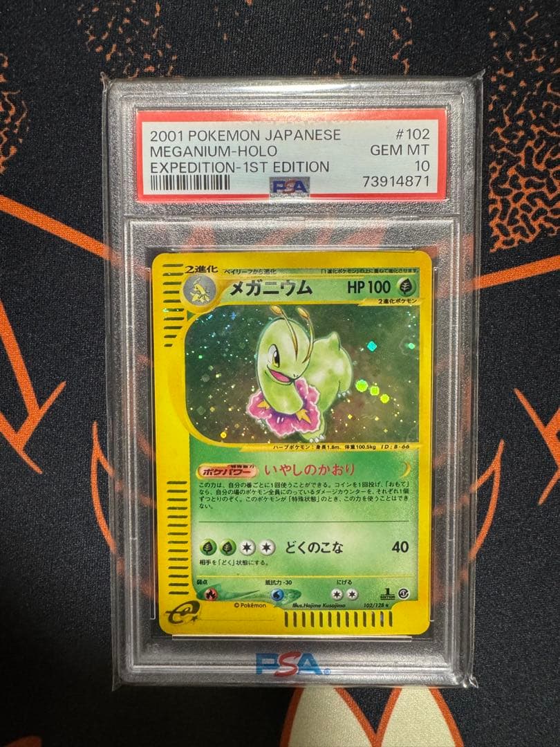 メガニウム　カードe PSA10 キラ　ノーマル　セット　連番