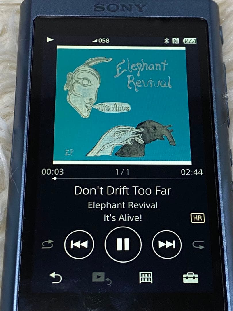 極美品】【動作OK】SONY ウォークマン NW-A55 付属品完備 SD付