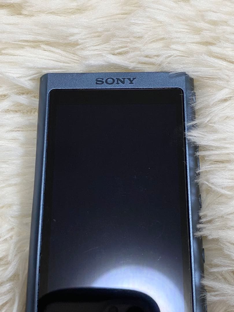 極美品】【動作OK】SONY ウォークマン NW-A55 付属品完備 SD付