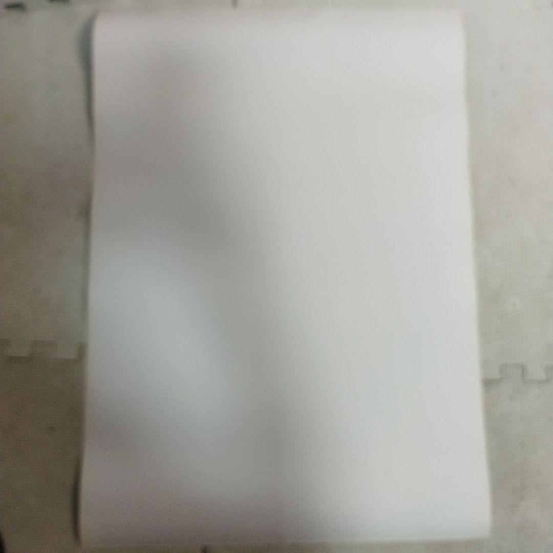 資生堂　メアリー岩本　マリアン　ポスター