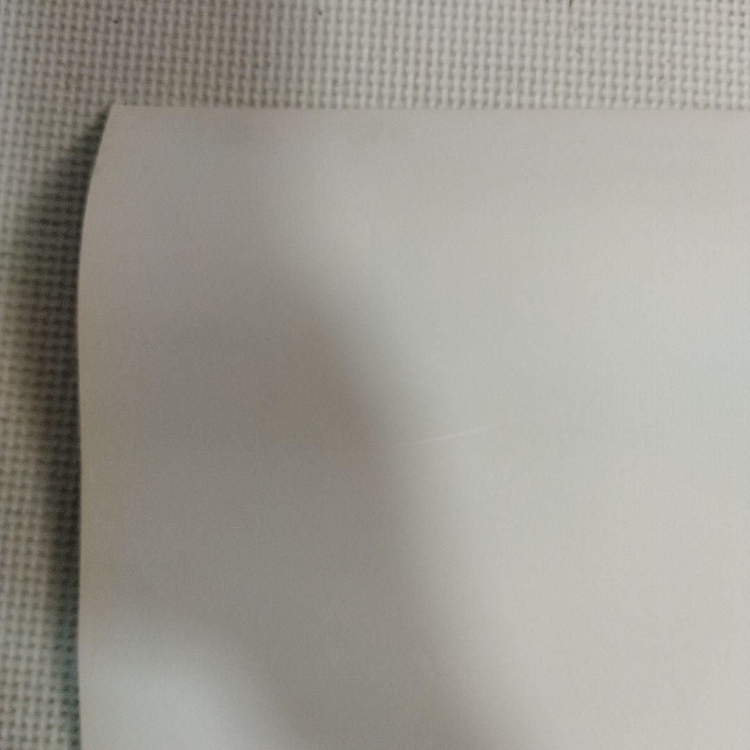 資生堂　メアリー岩本　マリアン　ポスター