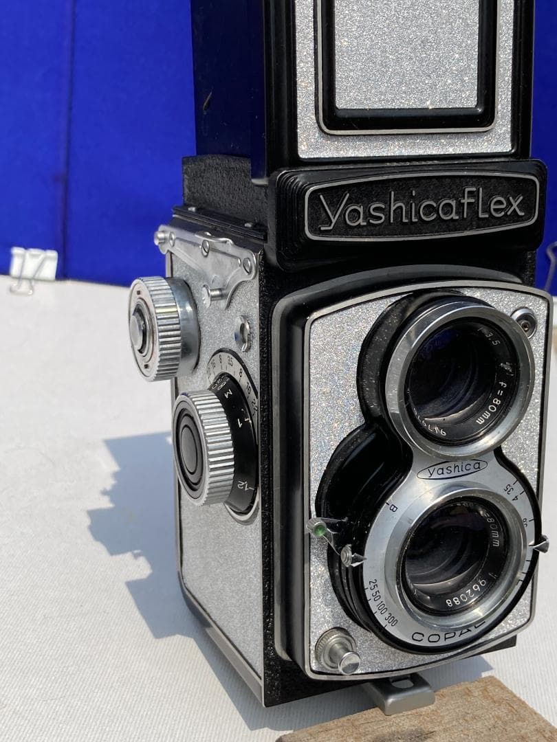 若葉が鮮やか キラキラ感 YASHICA FLEX インテリアにもどうぞ
