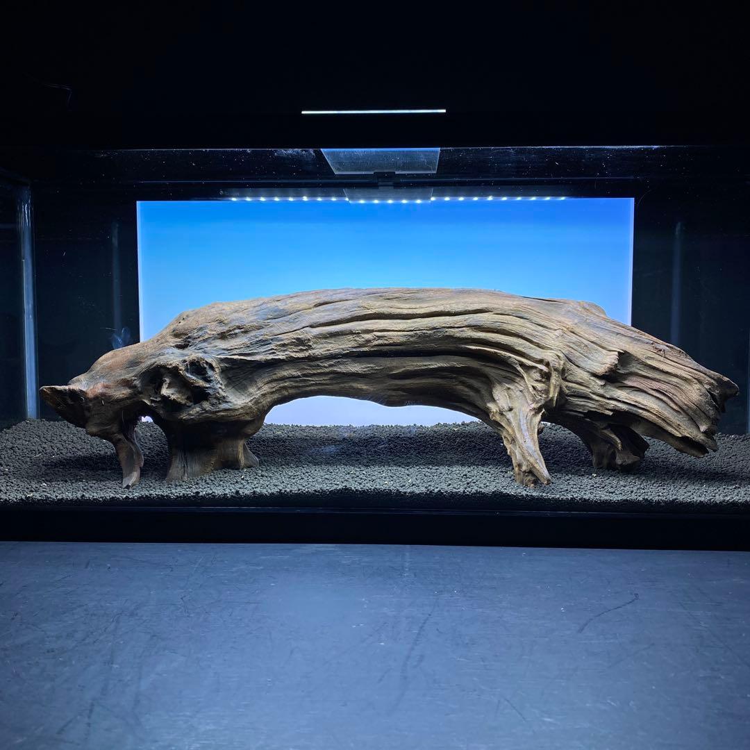 MRW-6331 特大自立赤系流木　アーチ流木　1点物　自立流木　90cm水槽用 MRW-5849赤系天然流木 自立流木 1点物 流木 アクアリウム｜Yahoo