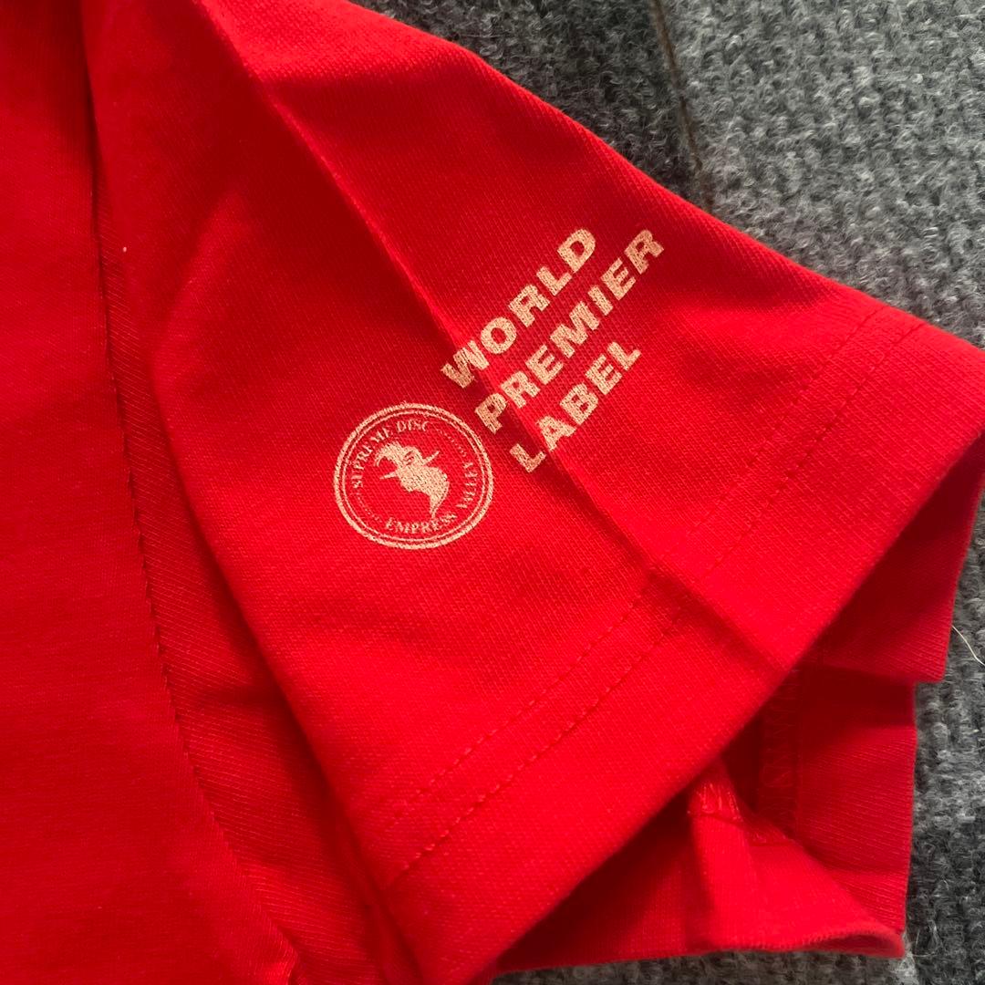 LED ZEPPELIN DESTROYER Tシャツ Sサイズ