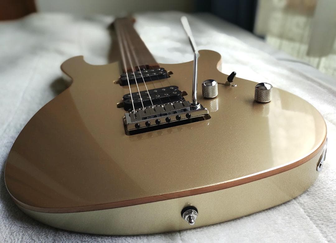 Cort / G300 Proゴールド ハムバッカー搭載・おまけ2点付き特価