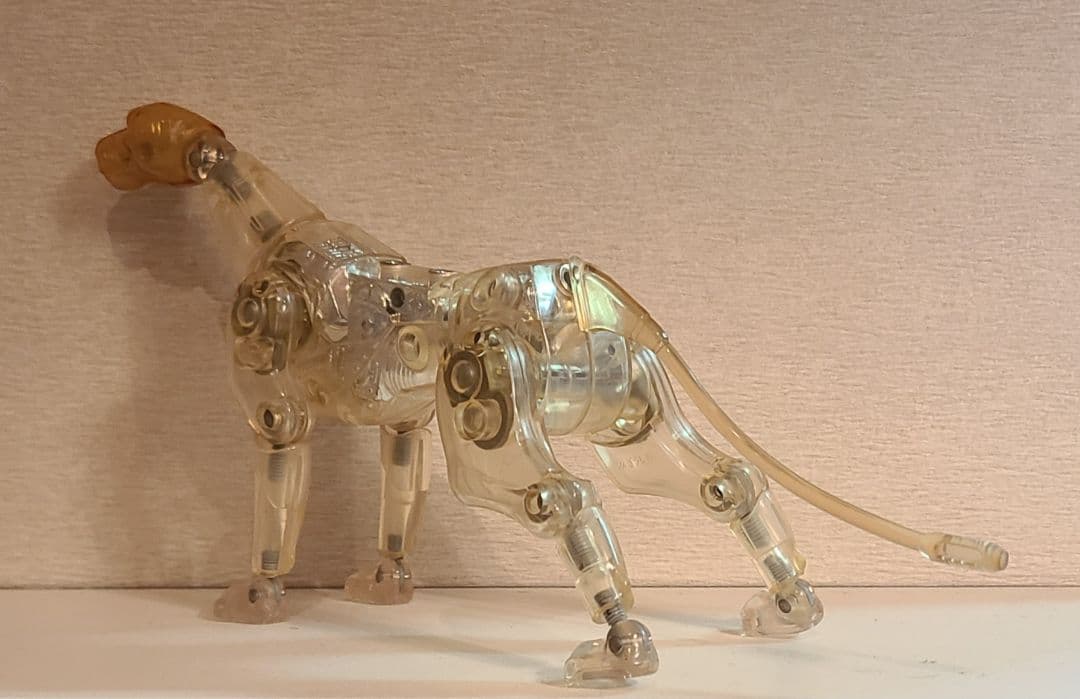 変身サイボーグ　5体セット