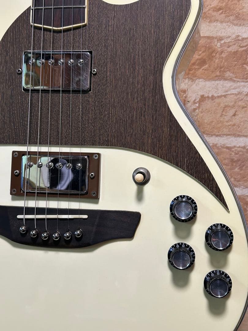 STRINBERG フルアコ化リメイクギター - メルカリ