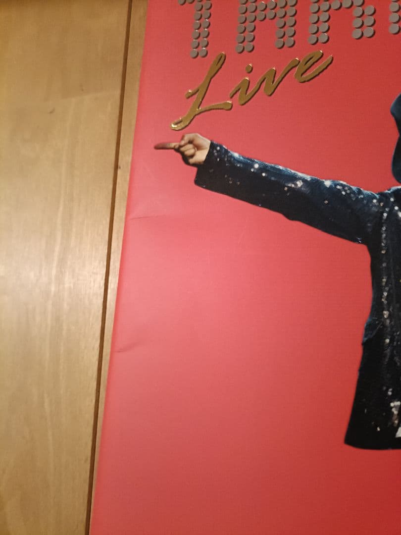 S.H.Figuarts マイケルジャクソン フィギュア　パンフレット