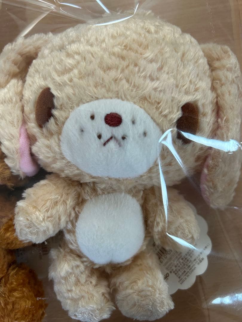 ⭐︎シュガーバニーズ　ラテうさ&カプチーノうさ