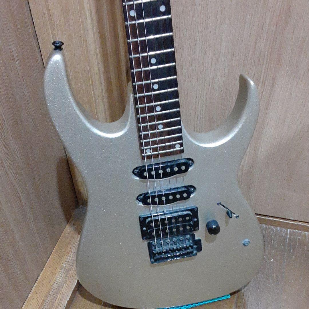 クラシックホビー・楽器・アート - フォトジェニックエレキギター＆5m