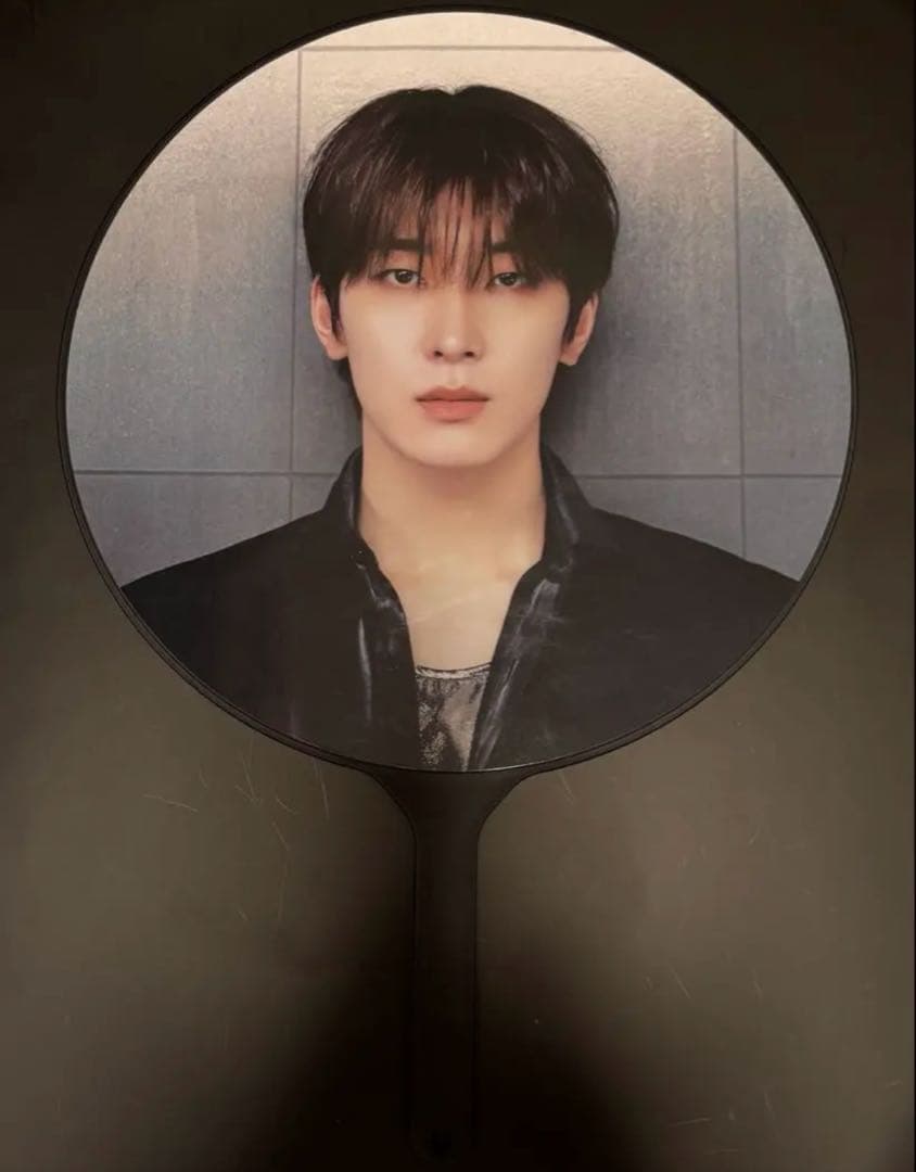 SEVENTEEN ウォヌ うちわ Right here