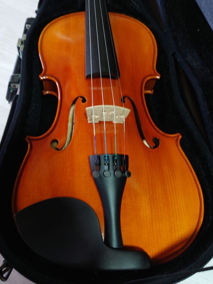 Eastman Strings VL80 バイオリン 4/4 ケース、弓、松脂付
